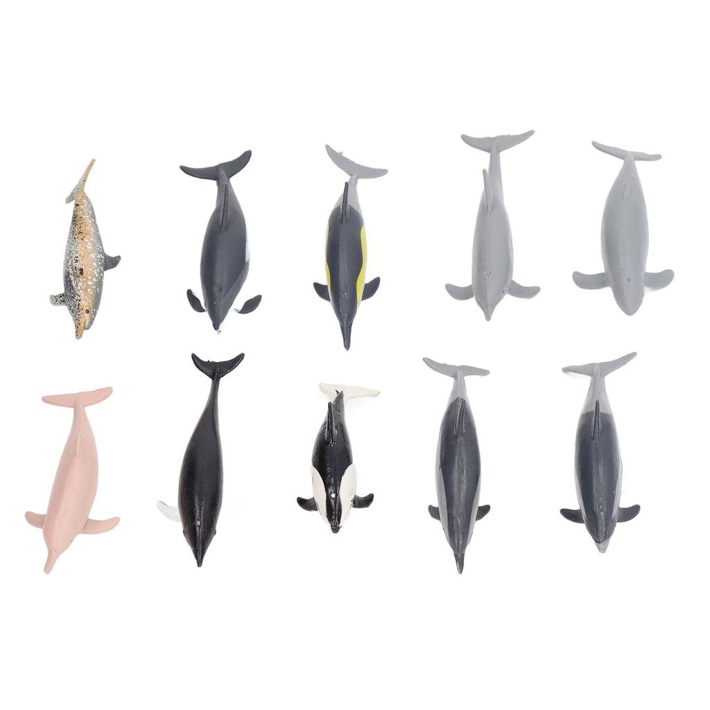 10Pcs Dolphin Model Toy Kids' Play Simulation Ocean Animals Figures Static Ornament