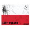 Sticker Carp Holographic