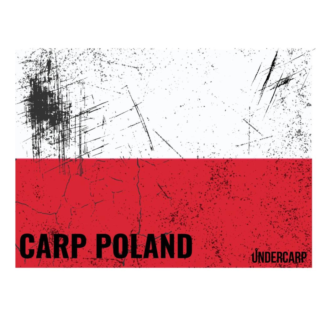 Sticker Carp Holographic
