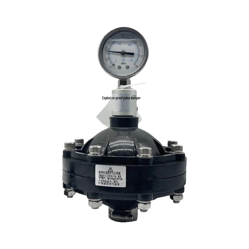 QIDUOLAN LGMZ Diaphragm Pulse Damper