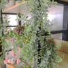 Green Hanging Artificial Plant Eucalyptus Vine Leaves Home Garden Room Decor Fake Plants Grass Wedding Party Wall Decora