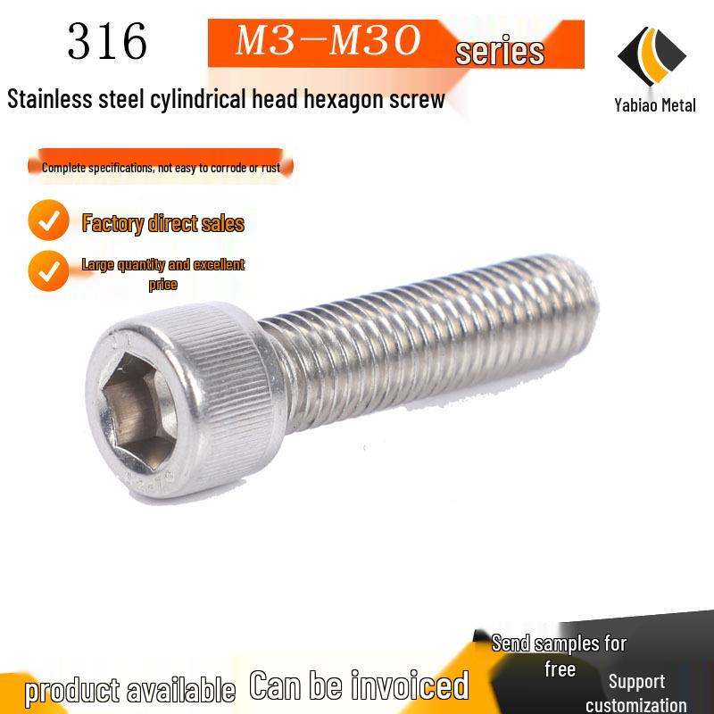 316 Stainless Steel Hexagonal Socket Head Bolt M16 M20 for Photovoltaic Use
