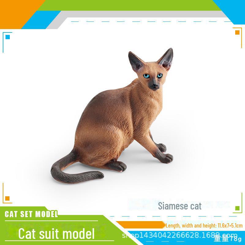 Seashell Cat Figurine: Realistic Kitten Toy Model