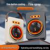 Multifunctional USB Charging Desktop Fan with Humidifying Spray & Light