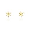 POPPI The classical star earrings no.2