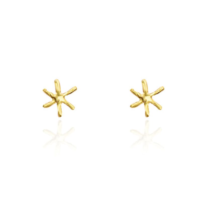 POPPI The classical star earrings no.2