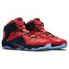 New Nike LeBron 12 Ext King's Cloak 748861-600
