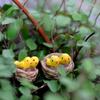 3 Stück/Los DIY Mini Nest mit Vögeln Feengarten Miniaturen Gnome Moos Terrarien Harz Handwerk Figuren
