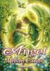 Oracle Card Angel Prism Card New Edition by Miki Okuda