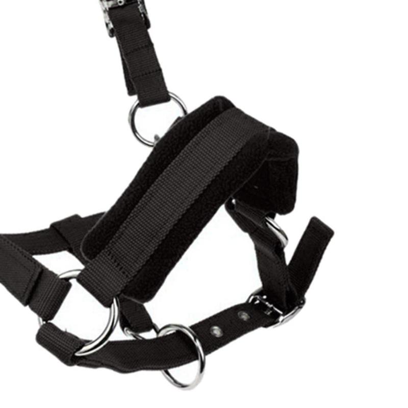 Durability Metal Eye Hook Horse Headgear For Secure Cycling And Training With Rustproofed Stable Bridle Hardware