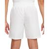 Nike Kids Shorts Moderate DX5382-101