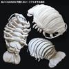 Deep Sea Creatures Series Giant Isopod Plush Extra 7317 Toy, Large, Gray,