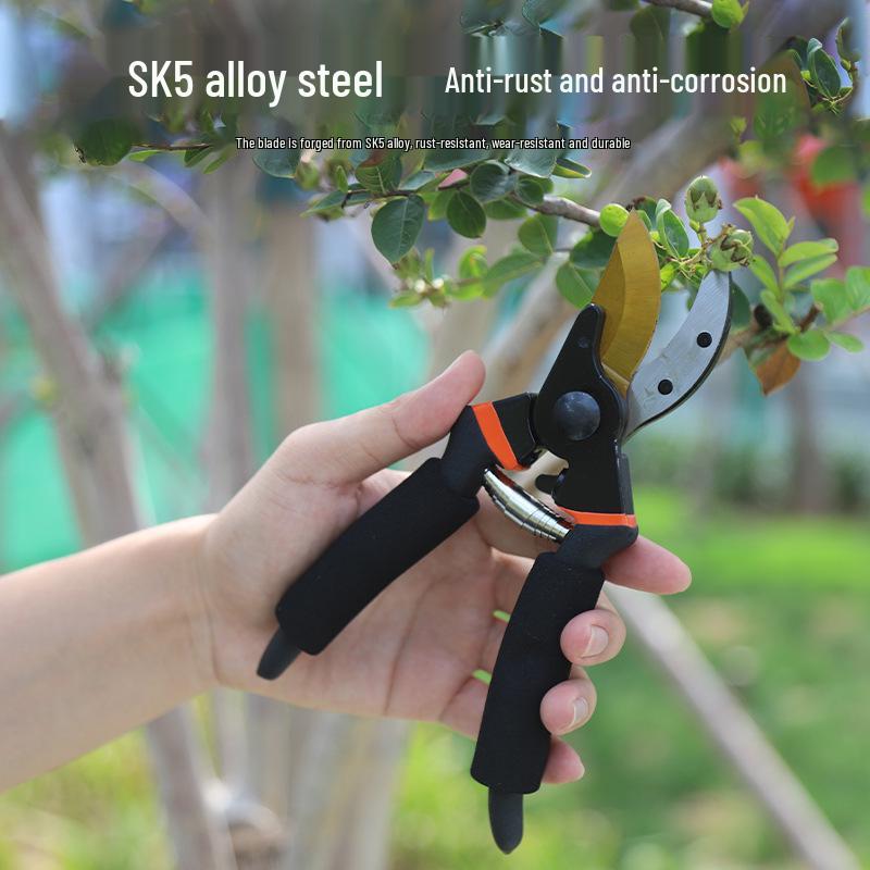 Garden Pruning Shears for Fruit Trees and Flowers - Labor-Saving and Powerful for Trimming Branches