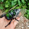 1 buc Jucărie Bionică Cicladă Mecanism cu Chei Simulare Cicladă Jucărie Insectă Animată Model Insectă Plastică Amuzantă pentru Copii Jucărie Mecanism cu Chei Cadou