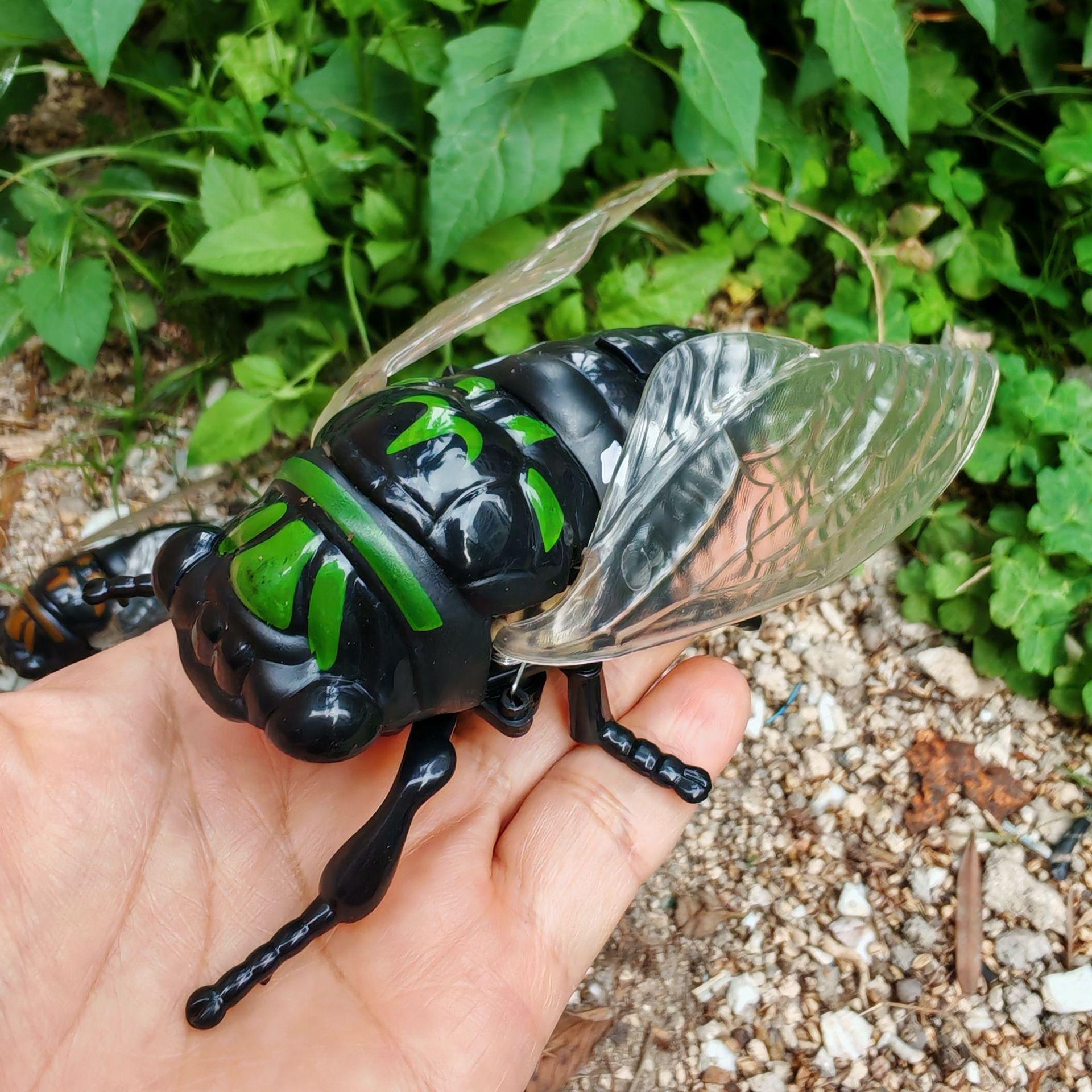 1Pccs Wind Up Cicada Bionic Toy Simulation Cicada Animated Insect Toy Model Funny Children Plastic Insect Prank Wind Up Toy Gift OneSize