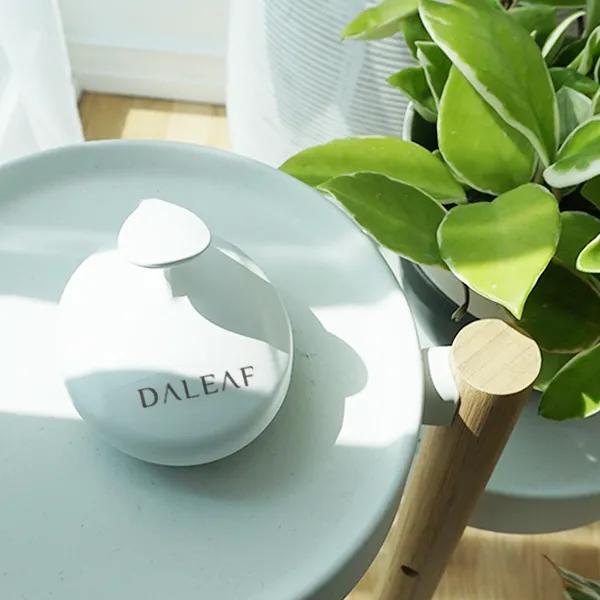 Dalip Berry Moment Shampoo Brush Antibacterial/Silicone Brush