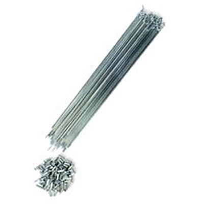 Shikishima Speiche 273mm 36 Stück CP mit Nippel #13
