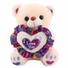 Heart Bear Plush Toy Love Stuffed Animal Pillow Sleep Pillow Plush Bear Doll  Birthday