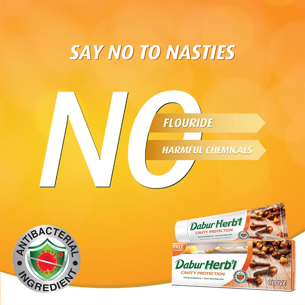 Herbal Natural Clove Toothpaste + FREE toothbrush 150g Cavity Protect Dabur Herb'l