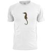 Mens Colourful Seahorse Sketch T Shirt Wildlife Sea Life Oceans