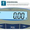 Ji Ming JM Precision Jewelry Scale - Desktop Electronic Balance 0.01g To 0.1g