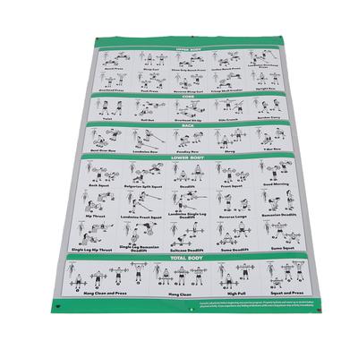 60x90cm Halter Workout Oefenposters Duidelijke Volledige Kleuren Afbeeldingen Halter Fitness Home Gym Poster