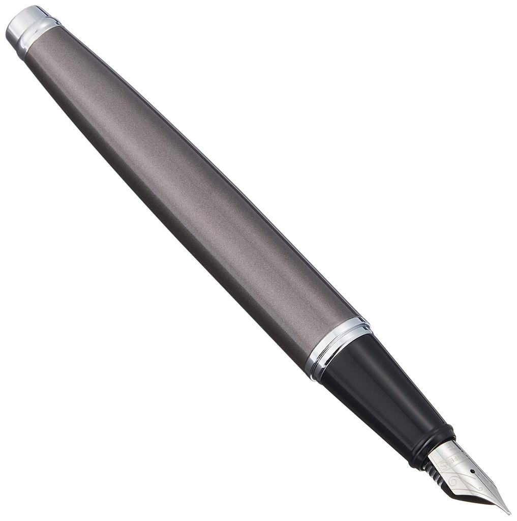 SHEAFFER Sheaffer Fountain Pen F Fine nib 300 Metallic Gray N0932940 Officially imported