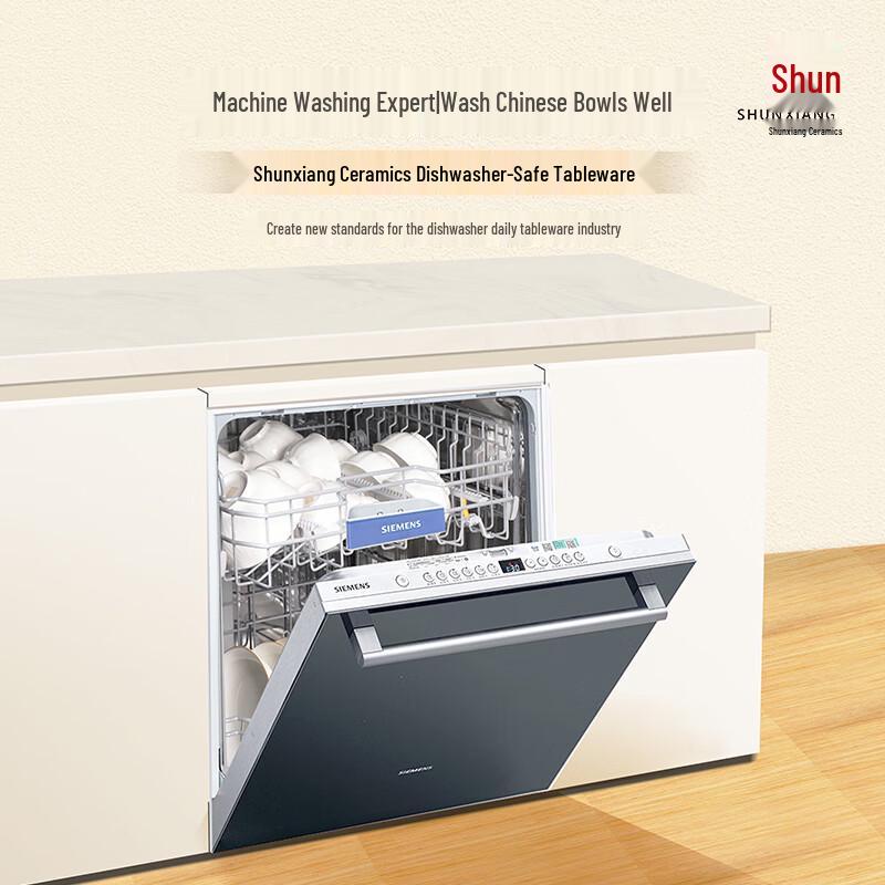 Shunxiang Phoenix Glory Nordic 20-Piece Ceramic Dinnerware Set