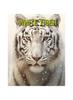 Kniha White Tiger : Fun and Educational Book for Kids with Amazing Facts and Pictures