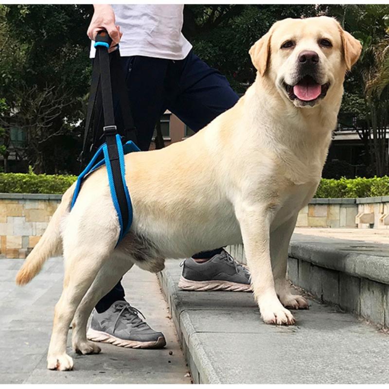 Adjustable Dog Lift Harness Pet Support Sling Pet Dogs Aid Assist Tool for Old Dogs for Back Legs Help Weak Legs Stand Up