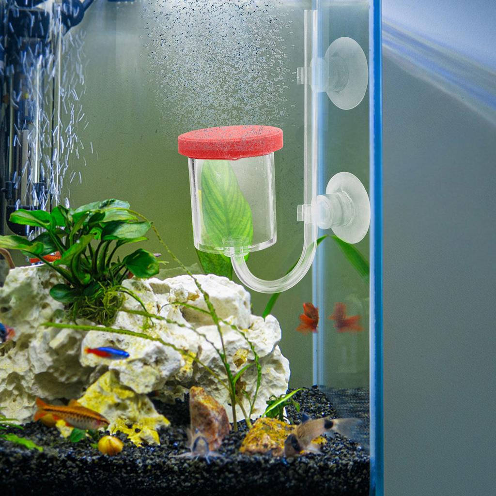 Professional Aquarium Oxygen Diffuser Air Bubbler for Fish Tank Oxygenation Compact Design Sturdy Acrylic Construction Easy