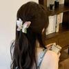 1pc Oil Painting, Blending, Three-dimensional Butterfly Grip, High-end Temperament, Shark Clip, Hair Clip, Hairpin