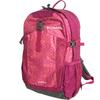 Columbia Castle Rock 20L Backpack II with Rain PU8663 Red Velvet Flower Cover, (678 Pattern)