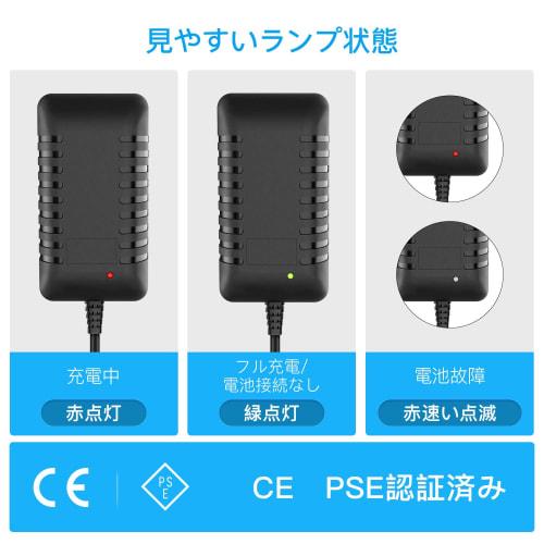 Melasta 2.4V-12V Nickel-Metal Hydride Battery Charger with 5 Conversion Cables (DC Plug To Tamiya, Mini Tamiya, SM-2P, JST, HuanQi Connectors) for 7.2