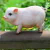 Lawn Garden  Ornaments Animal Model Pink Piglet Sculpture Piggy Figurine Simulation Pig Statue