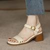 Retro Thick-heeled Sandals Women's Summer 2025 New Foreign-style Open-toed Non-slip Soft-soled One-word Buckle Women's Sandals