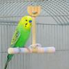 Bite Resistant Wood Parrot Swing Wear-resistant Parrot Swing Pole  for Parrots Parakeets