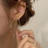 Exquisite Sterling Silver Hoop Earrings - High-End Luxury, Simple Yet Versatile Fashion Accessory