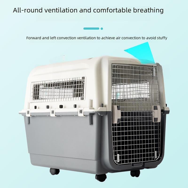 Extra Large Portable Pet Airline Carrier for Dogs, Cats, and Small Animals