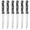 Stainless Steel Steak and Burger Knives 21cm 6-Piece Set