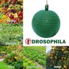 1-6PCS Ball Fruit Fly Catcher Pest Control Sticky Trap Wasp Bee Insect Trap Flying Insects Traps Ball for Catching Fruit Insects