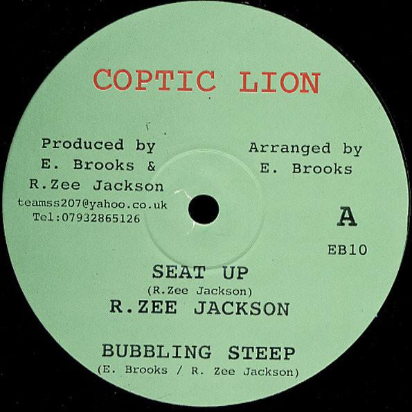

10-дюймовая пластинка R ZEE JACKSON / MATIC HORNS - Seat Up; Кипящая заварка / Корни EB10 Коптский лев 2008 Великобритания Регги, Ска и Даб
