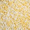 450G High Quality Seed Beads Macarons Frosted Polish Glass Beads for Bracelet Necklace DIY Jewelry Accessoreis Making