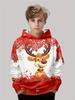 Boys' 3D Christmas Graphic Hoodie Long Sleeve Tops Casual Polyester Hoody Fall Spring Outerwear Sweatshirt Children's Clothing
