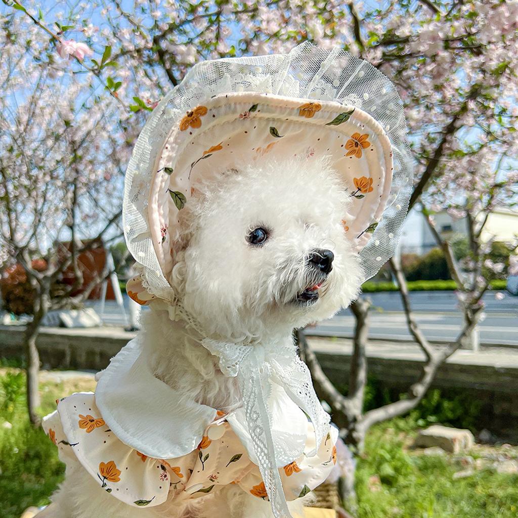 Dog Baseball Cap Dog Visor Hats Pet Sun Protection Hats Outdoor Sports Hats with Ear Holes Hats for Dog Sun Protection Visor Hat