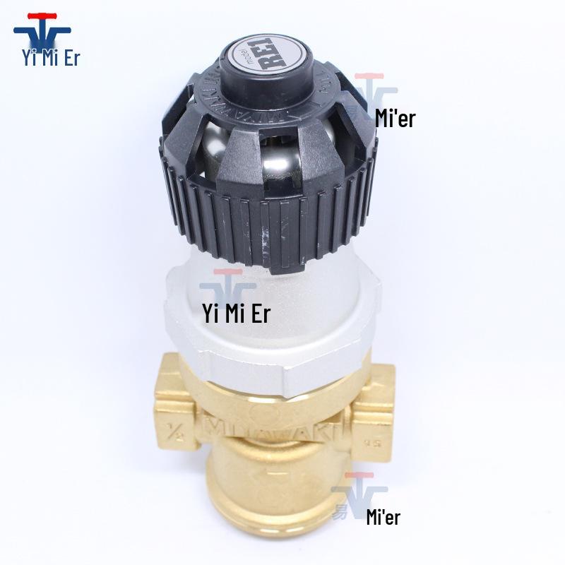 MIYAWAKI RE1 Copper Wire Steam Pressure Reducing and Stabilizing Valve Sterilizer - Original Stock Available