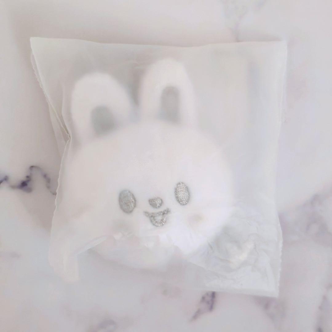 

[USED] Stray Kids Korean Pop-Up Face Keyring, Silver, Reno