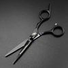 6.0 Inch High Screw, Black, Black Gold Paint, Hair Scissors, Hair Scissors, Flat Scissors, Thin Scissors 03-05