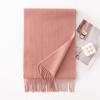 Autumn and Winter New Solid Color Scarf for Women Versatile Neck Scarf Thickened Warm Shawl Simple Tassel