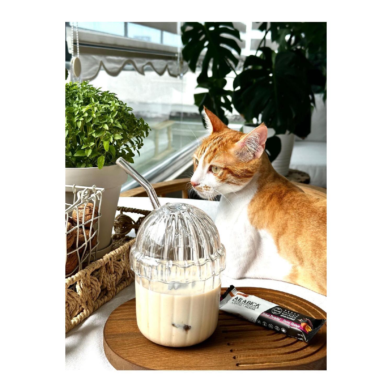 

1 шт. Пластиковая овальная термостойкая чашка Pinterest с крышкой из слюды | Кофейная и презентационная чашка | 430мл чистый